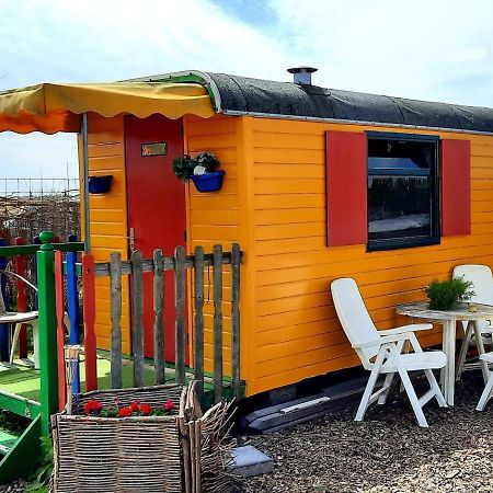 B&B Boerderij Rust, In Pipowagens! Den Helder Kültér fotó