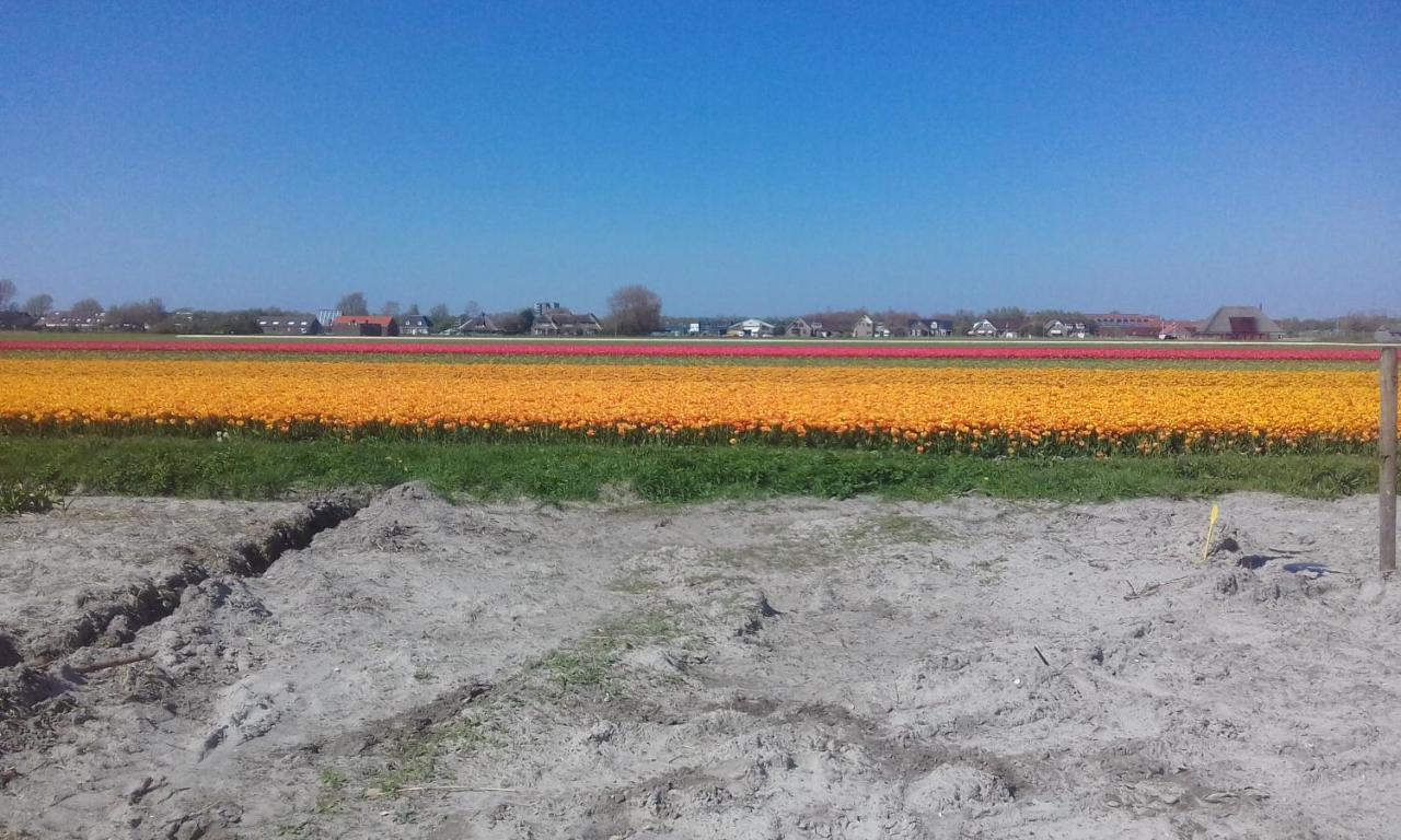 B&B Boerderij Rust, In Pipowagens! Den Helder Kültér fotó