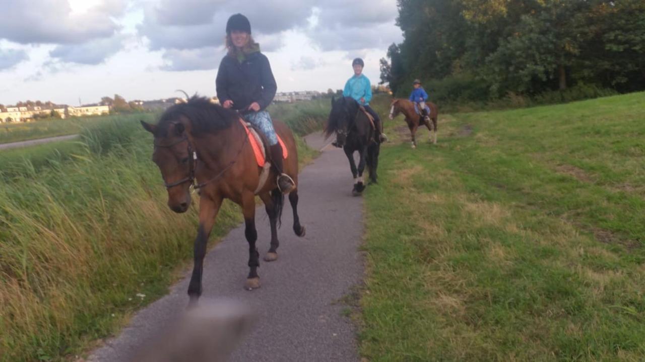 B&B Boerderij Rust, In Pipowagens! Den Helder Kültér fotó