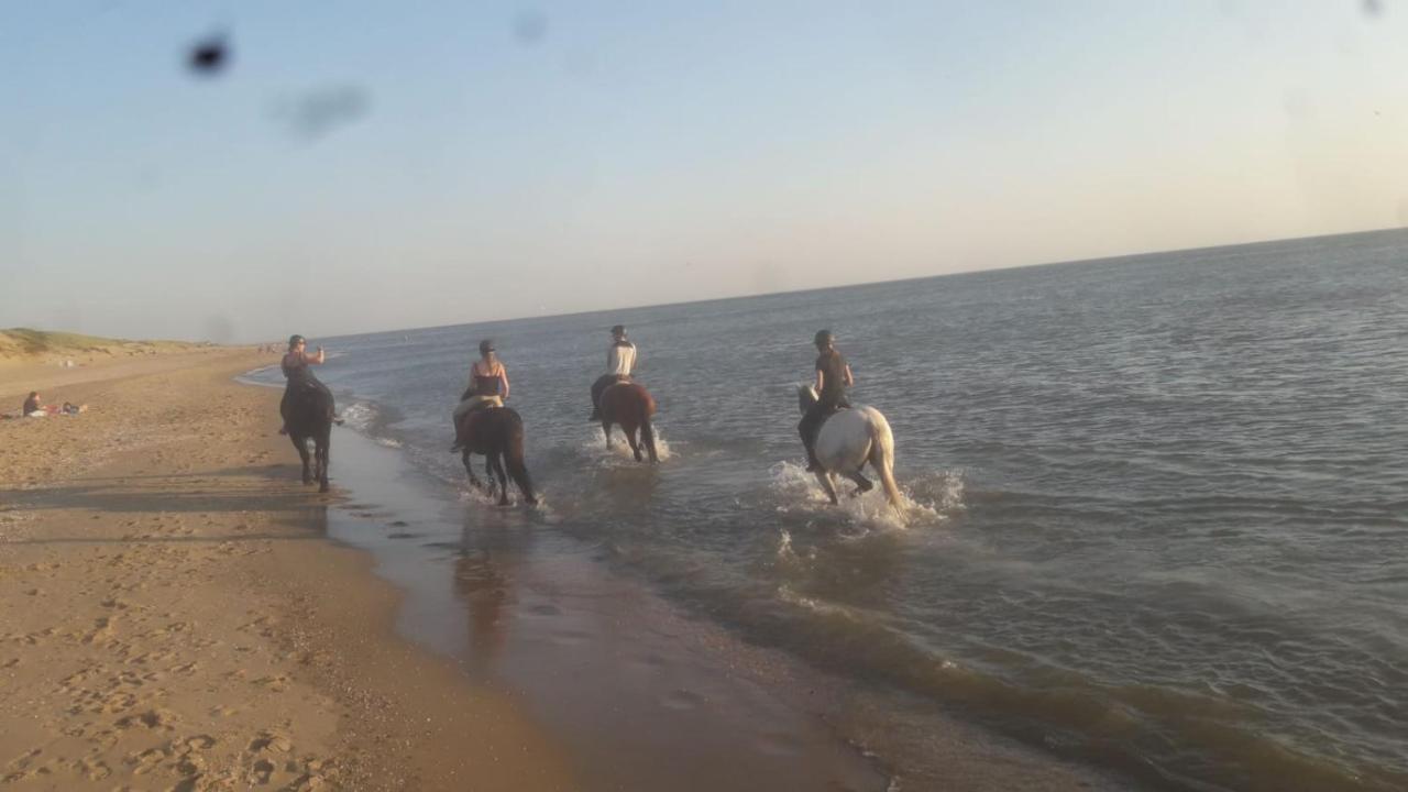 B&B Boerderij Rust, In Pipowagens! Den Helder Kültér fotó