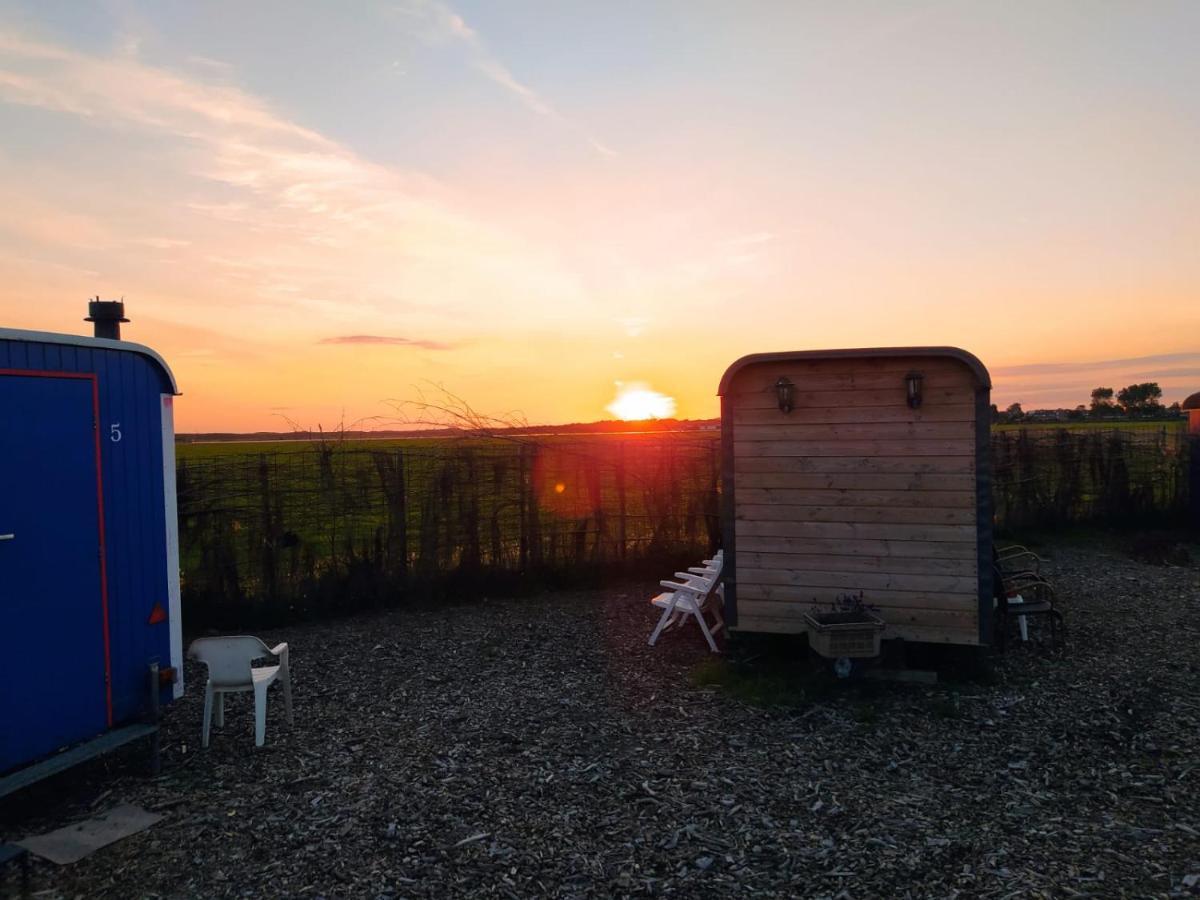 B&B Boerderij Rust, In Pipowagens! Den Helder Kültér fotó